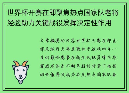 世界杯开赛在即聚焦热点国家队老将经验助力关键战役发挥决定性作用
